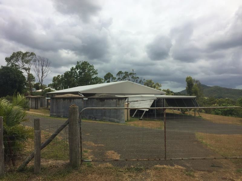 438 Cawarral Road, Cawarral QLD 4702